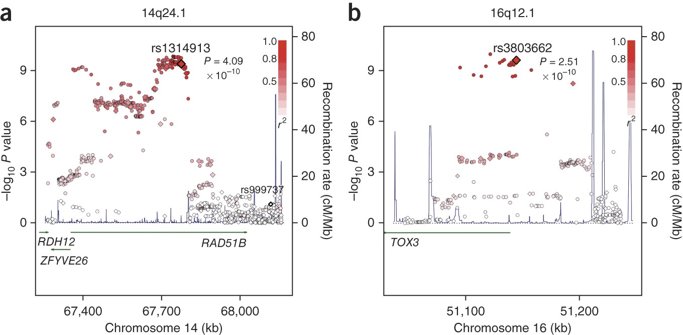 Genome-wide association study identifies a common variant in RAD51B  associated with male breast cancer risk | Nature Genetics