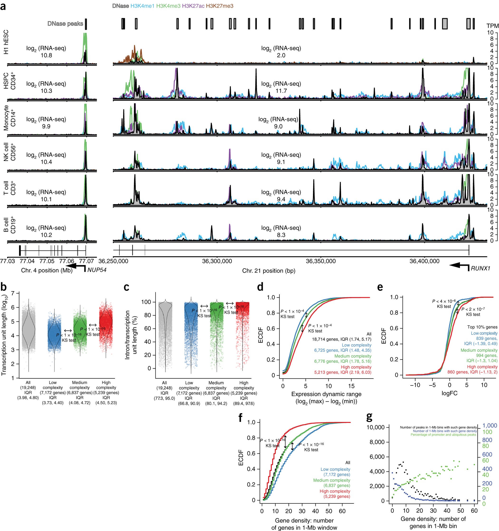 Early enhancer establishment and regulatory locus complexity shape  transcriptional programs in hematopoietic differentiation | Nature Genetics