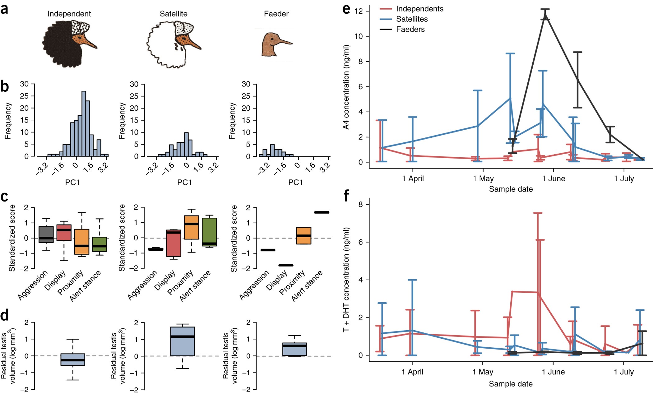A supergene determines highly divergent male reproductive morphs in the ruff | Nature Genetics A supergene determines highly divergent male reproductive morphs in the ruff | Nature Genetics