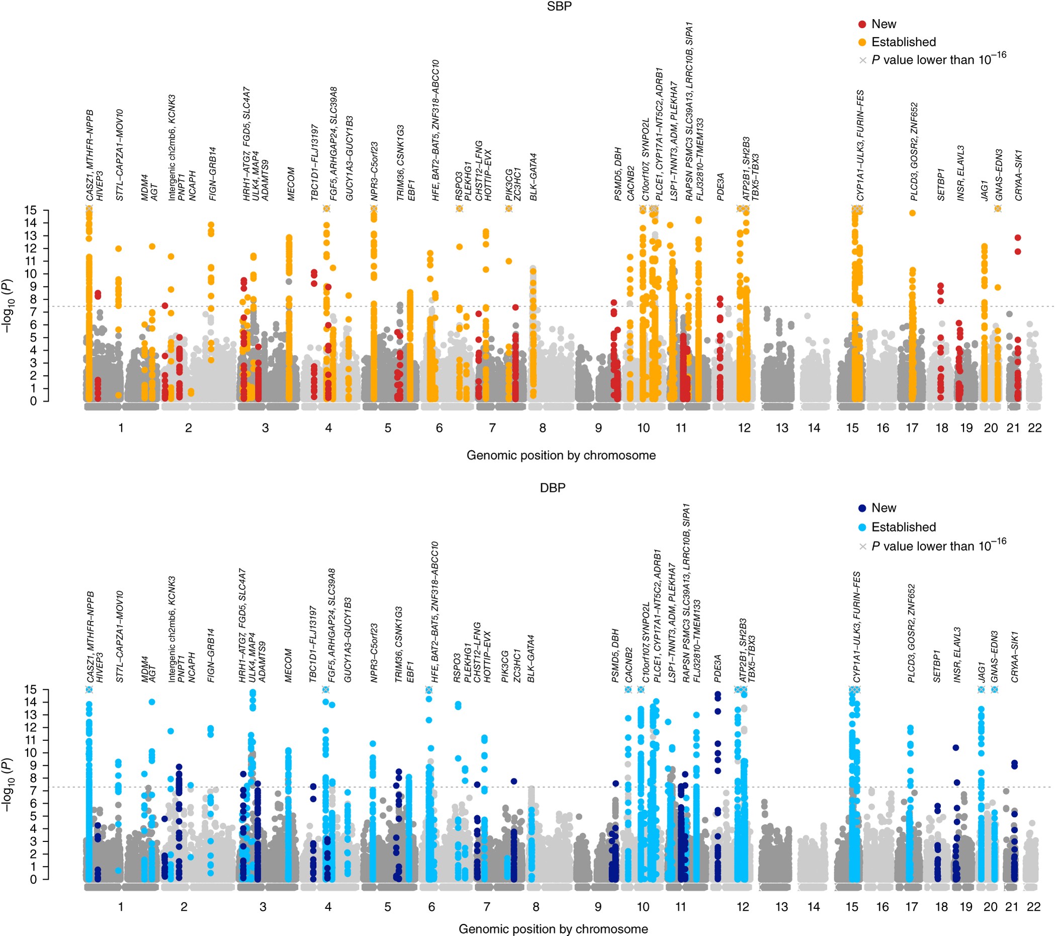 Jmn Way December 2012