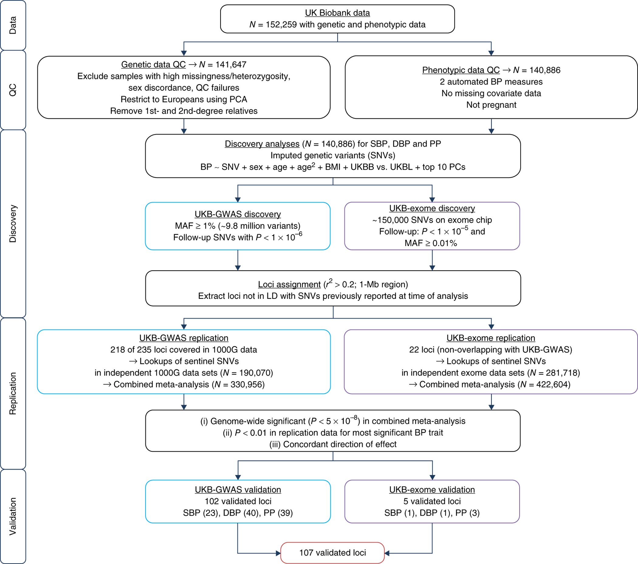 Genome Wide Association Analysis Identifies Novel Blood Pressure