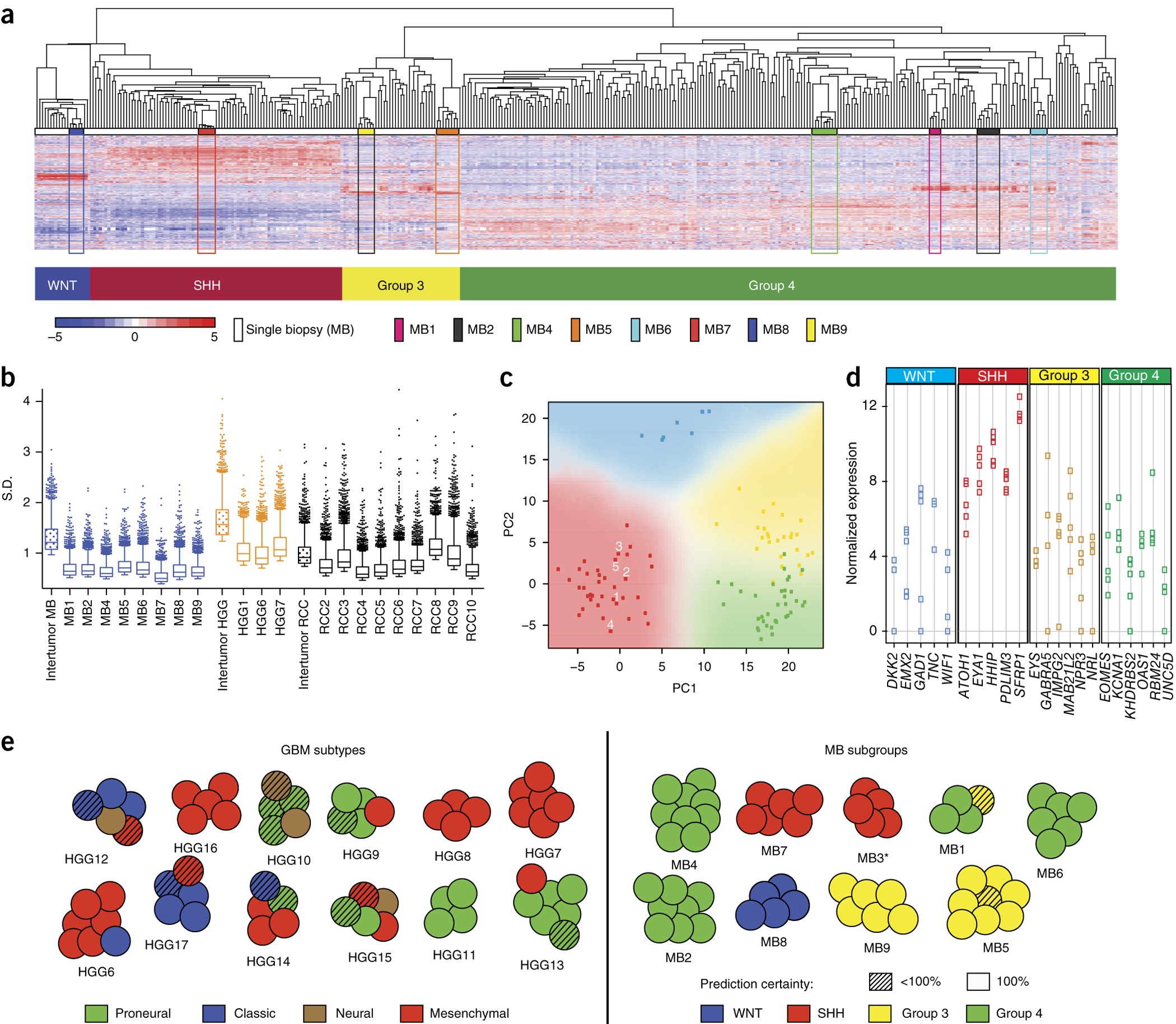 Spatial heterogeneity in medulloblastoma | Nature Genetics