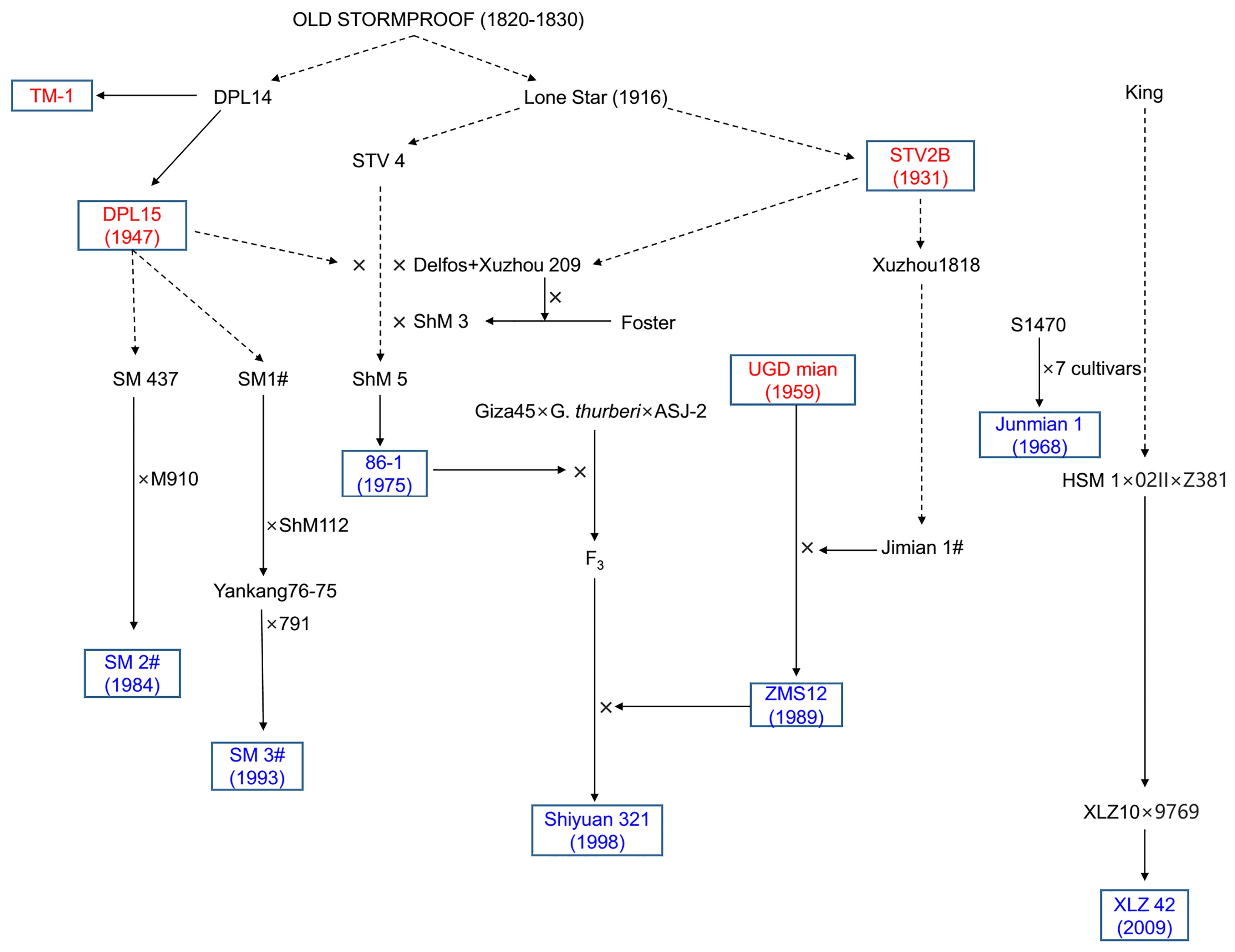 Supplementary Figure 12
