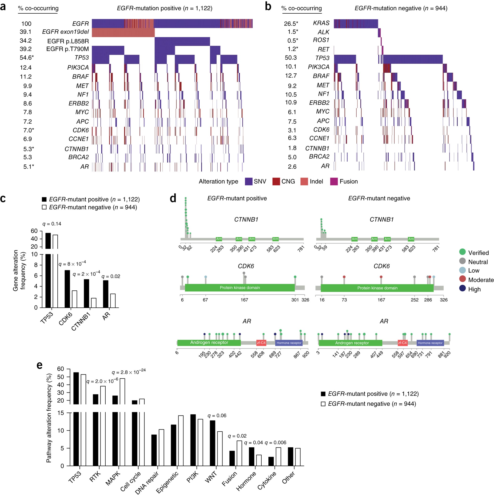 Evolution And Clinical Impact Of Co Occurring Genetic Alterations Evolution And Clinical Impact Of Co Occurring Genetic Alterations