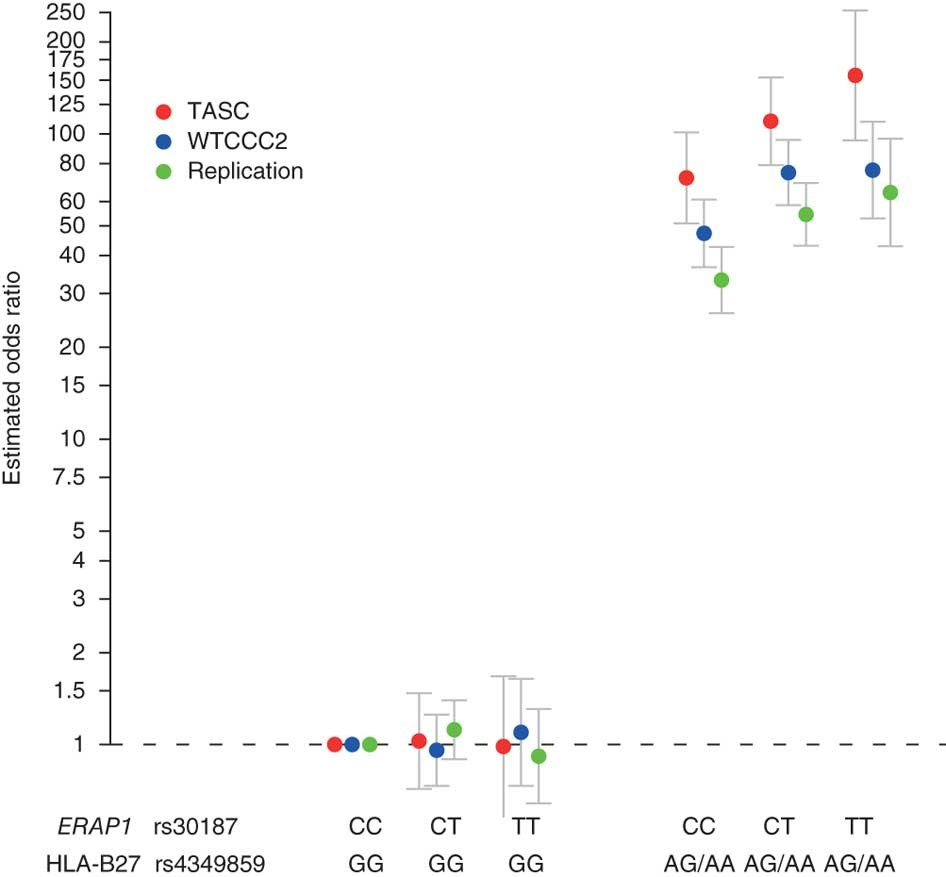 Interaction Between Erap1 And Hla B27 In Ankylosing Spondylitis