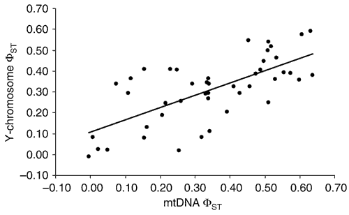 Global Patterns Of Human Mitochondrial Dna And Y Chromosome