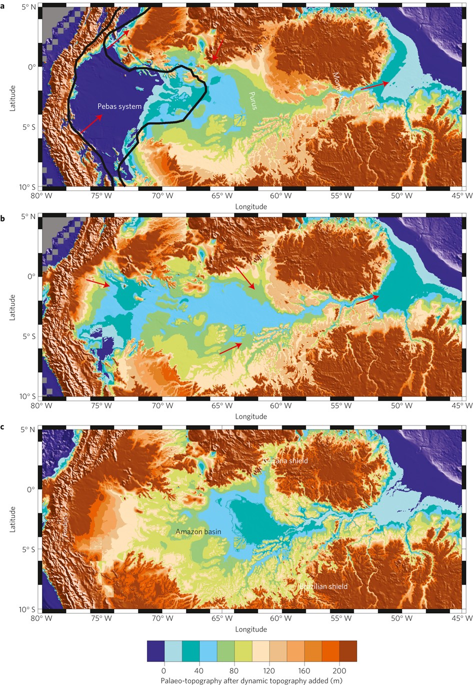 Miocene drainage reversal of the Amazon River driven by plate–mantle  interaction | Nature Geoscience