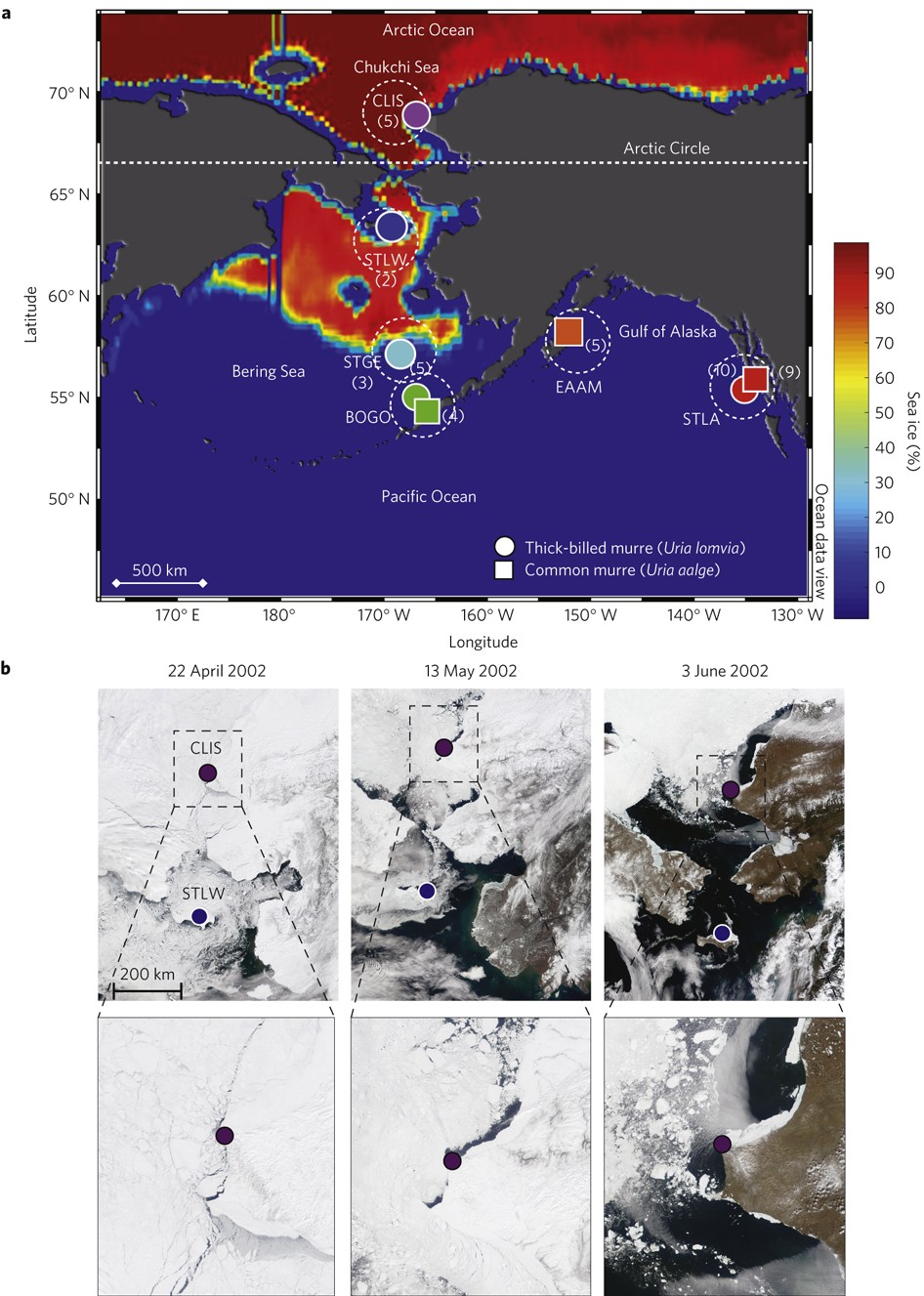 Methylmercury photodegradation influenced by sea-ice cover in Arctic marine  ecosystems | Nature Geoscience