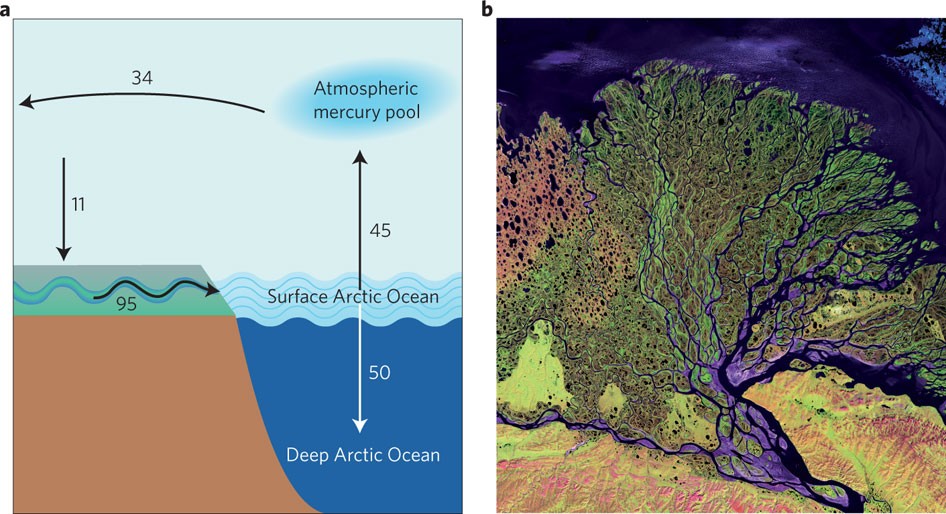 The Marginal Ice Zone as a dominant source region of atmospheric mercury  during central Arctic summertime