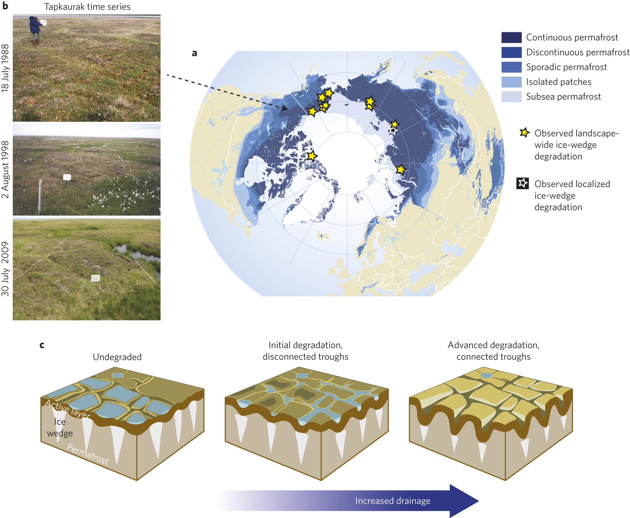 Pan-Arctic ice-wedge degradation in warming permafrost and its influence on  tundra hydrology | Nature Geoscience