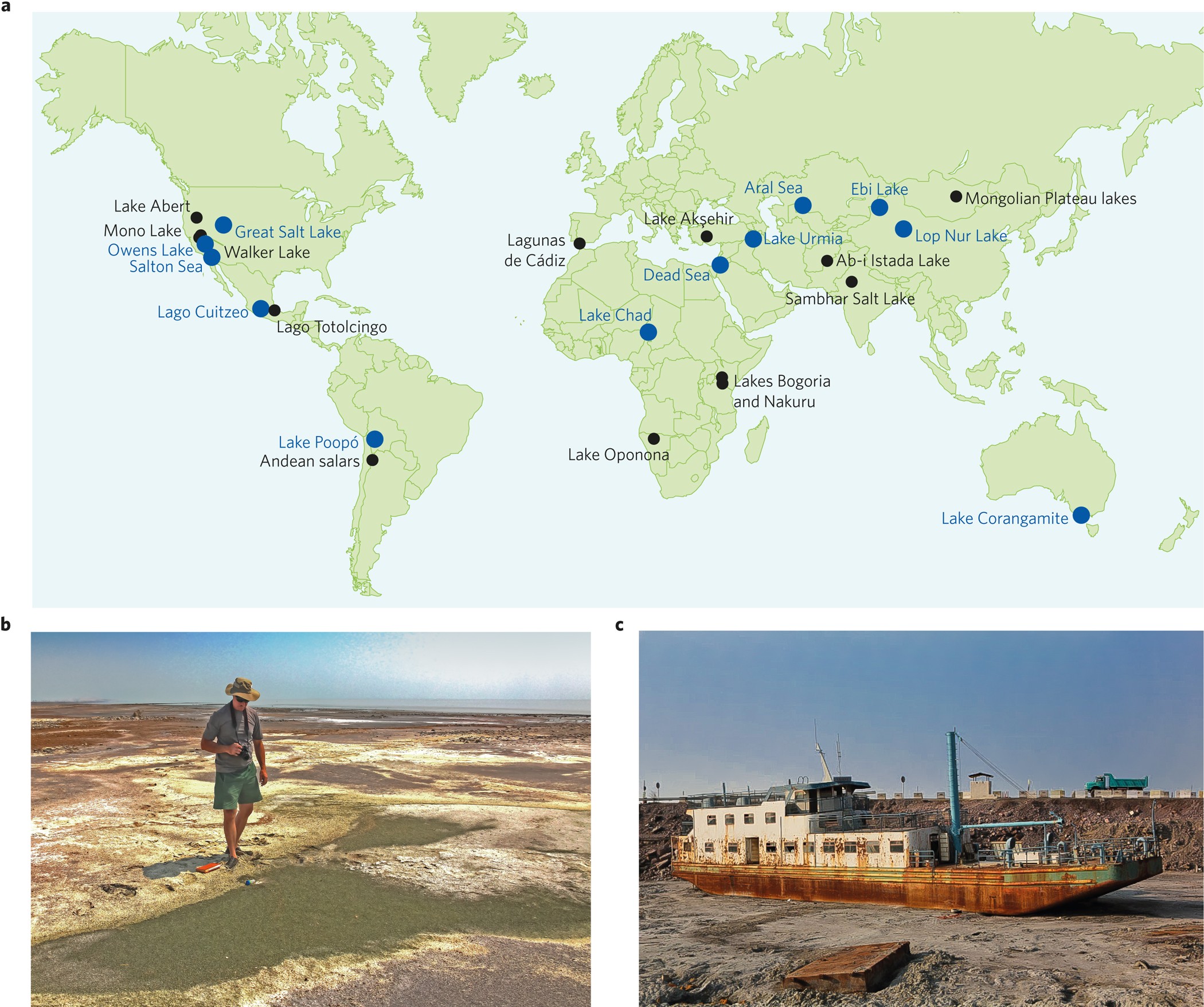 Decline of the world's saline lakes | Nature Geoscience