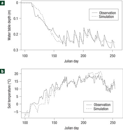 Frontiers  Meteorological Controls on Water Table Dynamics in Fen  Peatlands Depend on Management Regimes