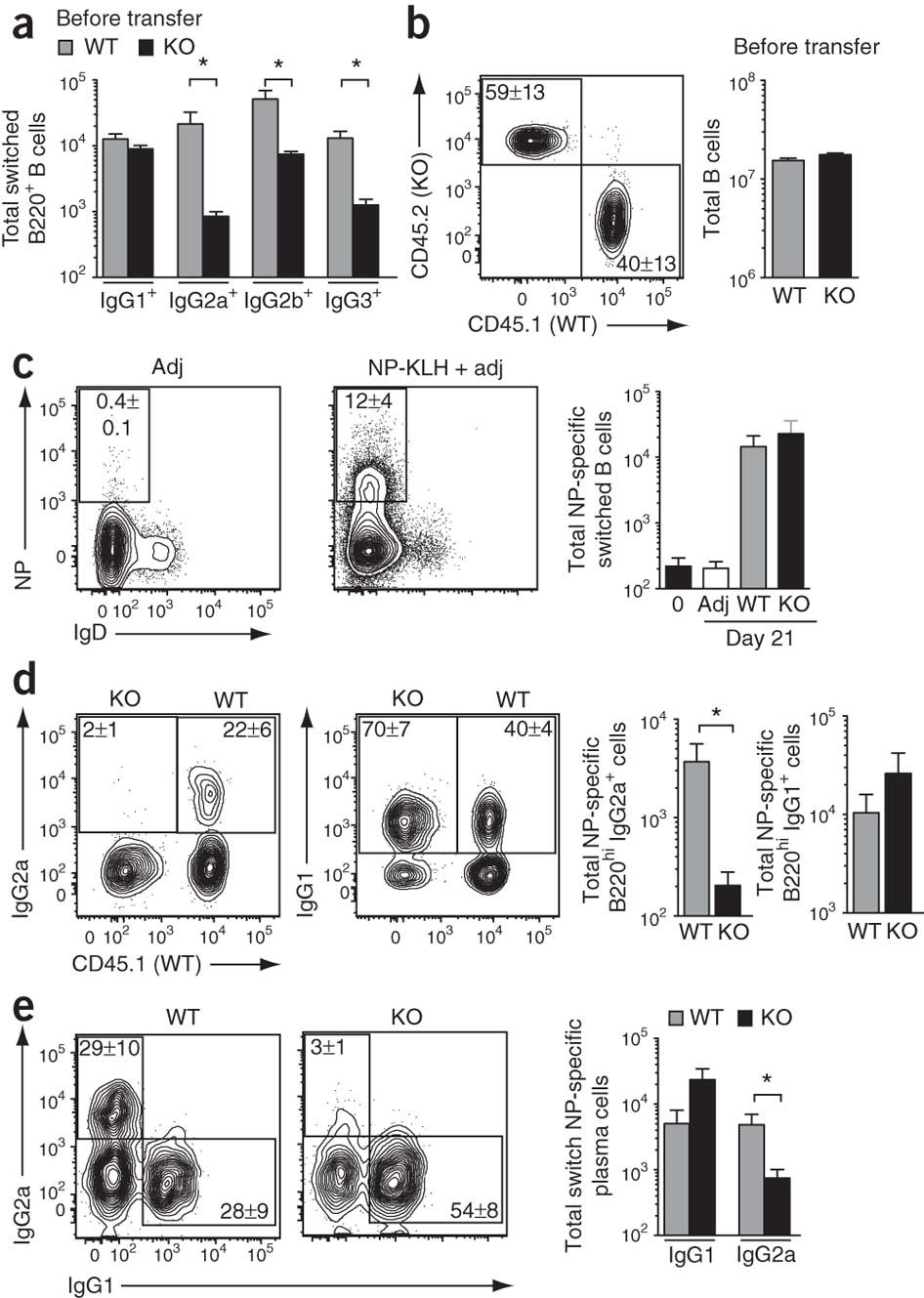 Divergent transcriptional programming of class-specific B cell memory by  T-bet and RORα | Nature Immunology