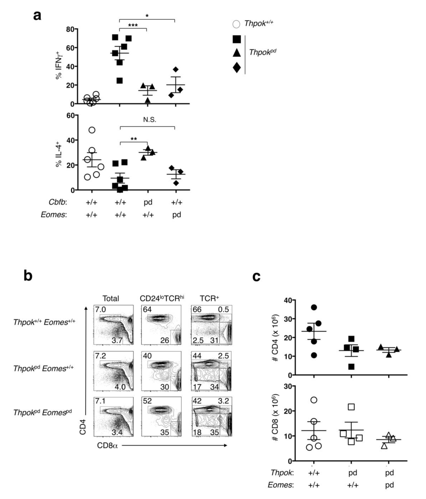 Supplementary Figure 4