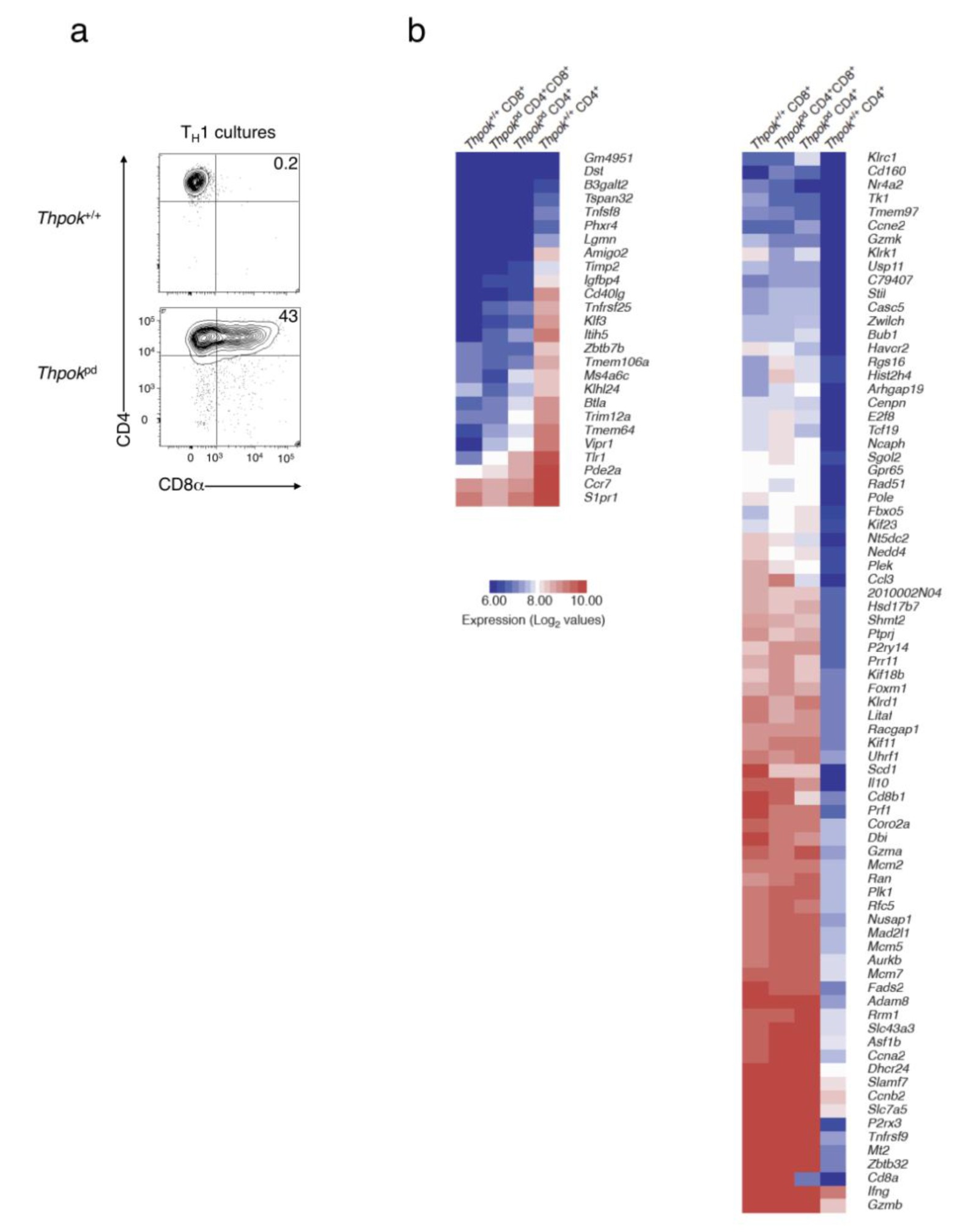 Supplementary Figure 5