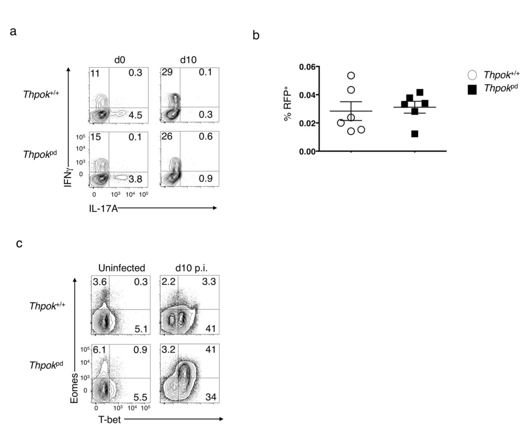 Supplementary Figure 6