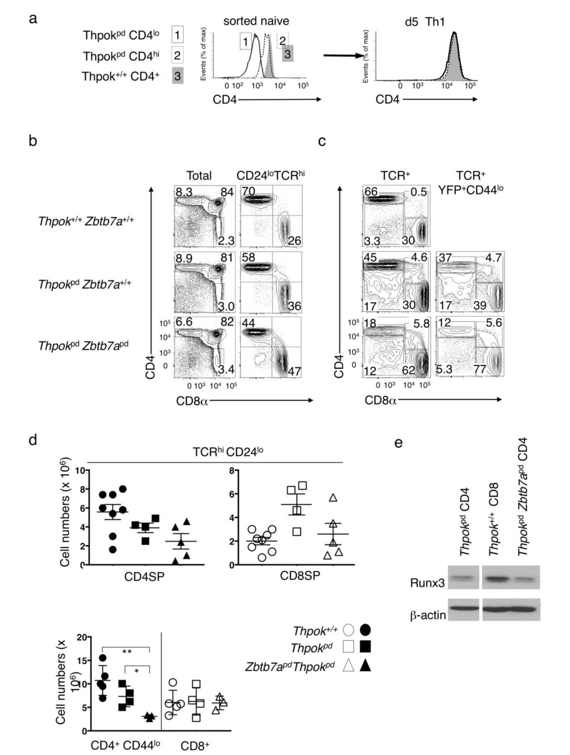 Supplementary Figure 7