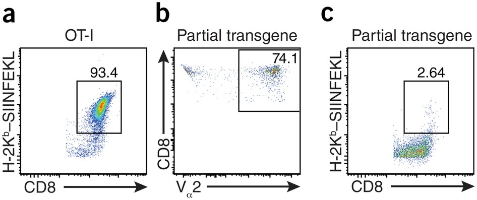 Spontaneous partial loss of the OT-I transgene | Nature Immunology