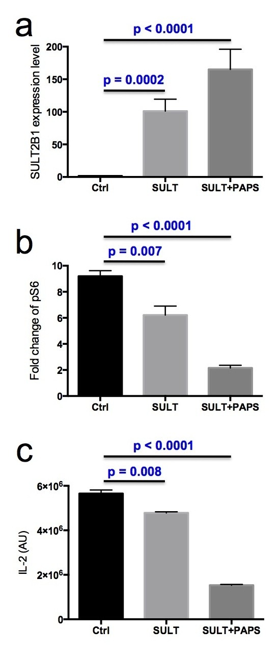 Supplementary Figure 3