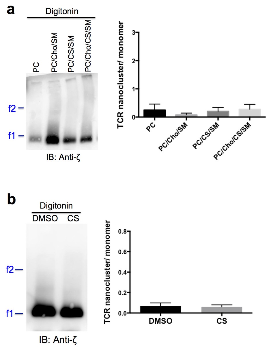 Supplementary Figure 4