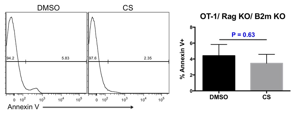 Supplementary Figure 6