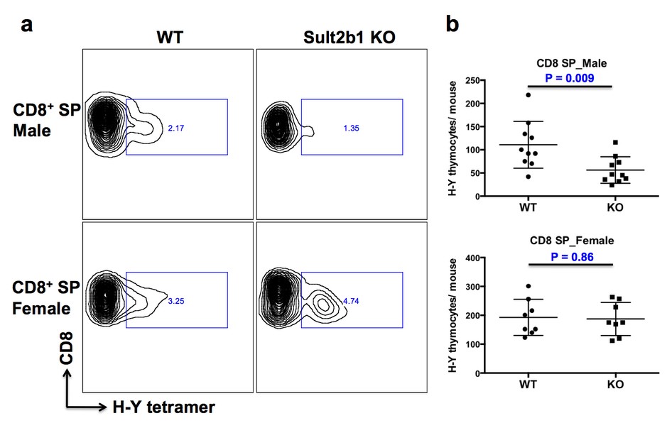 Supplementary Figure 8