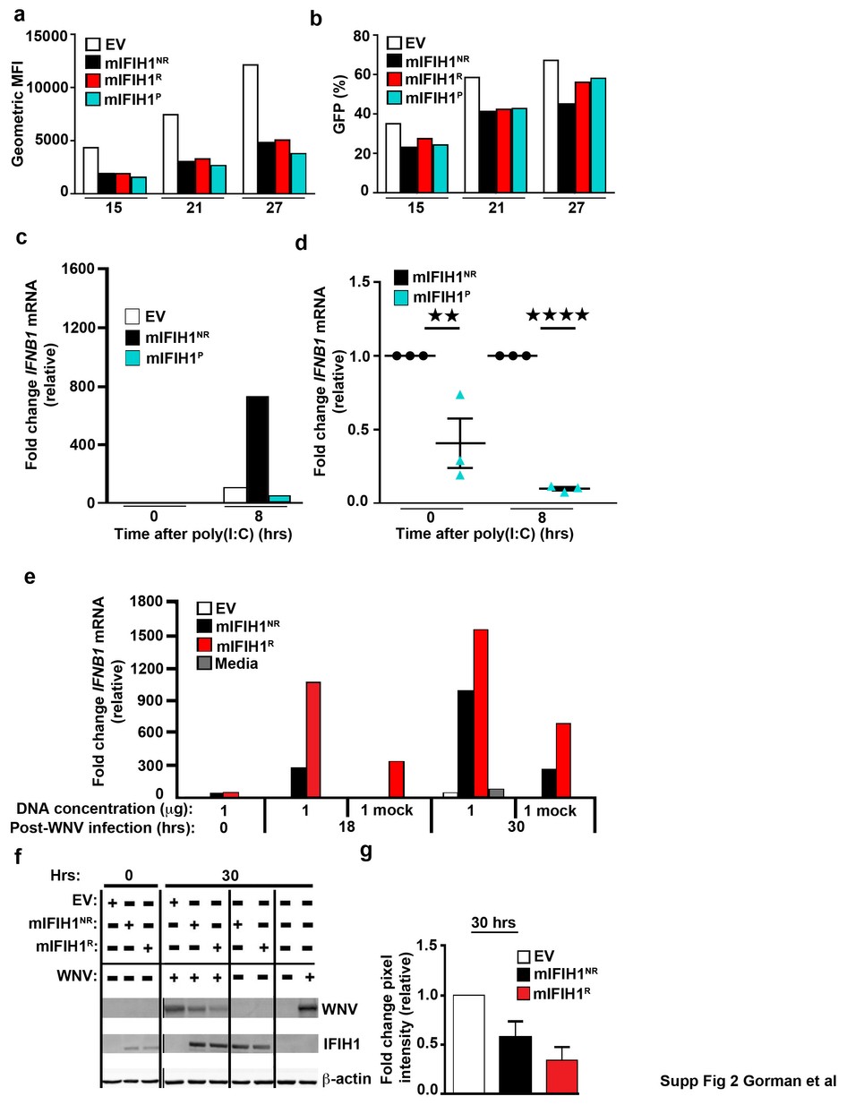 Supplementary Figure 2