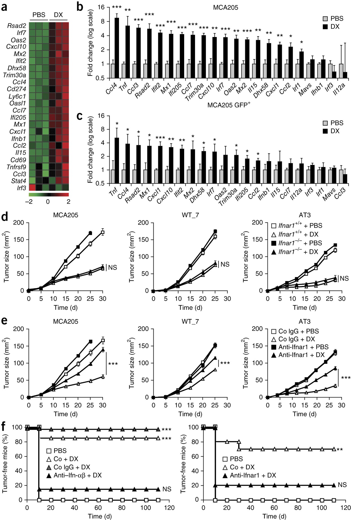 Cancer cell–autonomous contribution of type I interferon signaling to the  efficacy of chemotherapy | Nature Medicine