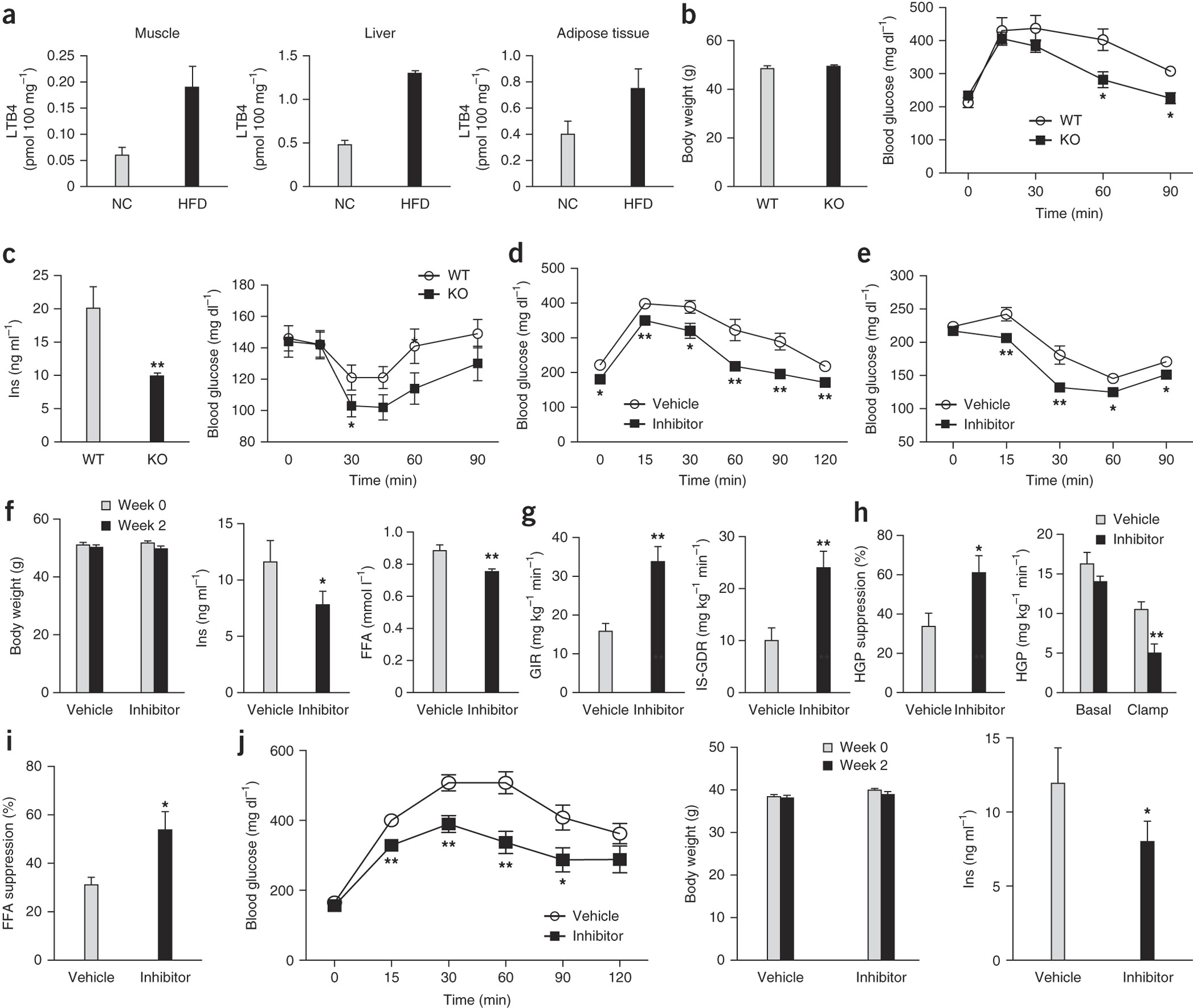 LTB4 promotes insulin resistance in obese mice by acting on macrophages,  hepatocytes and myocytes | Nature Medicine