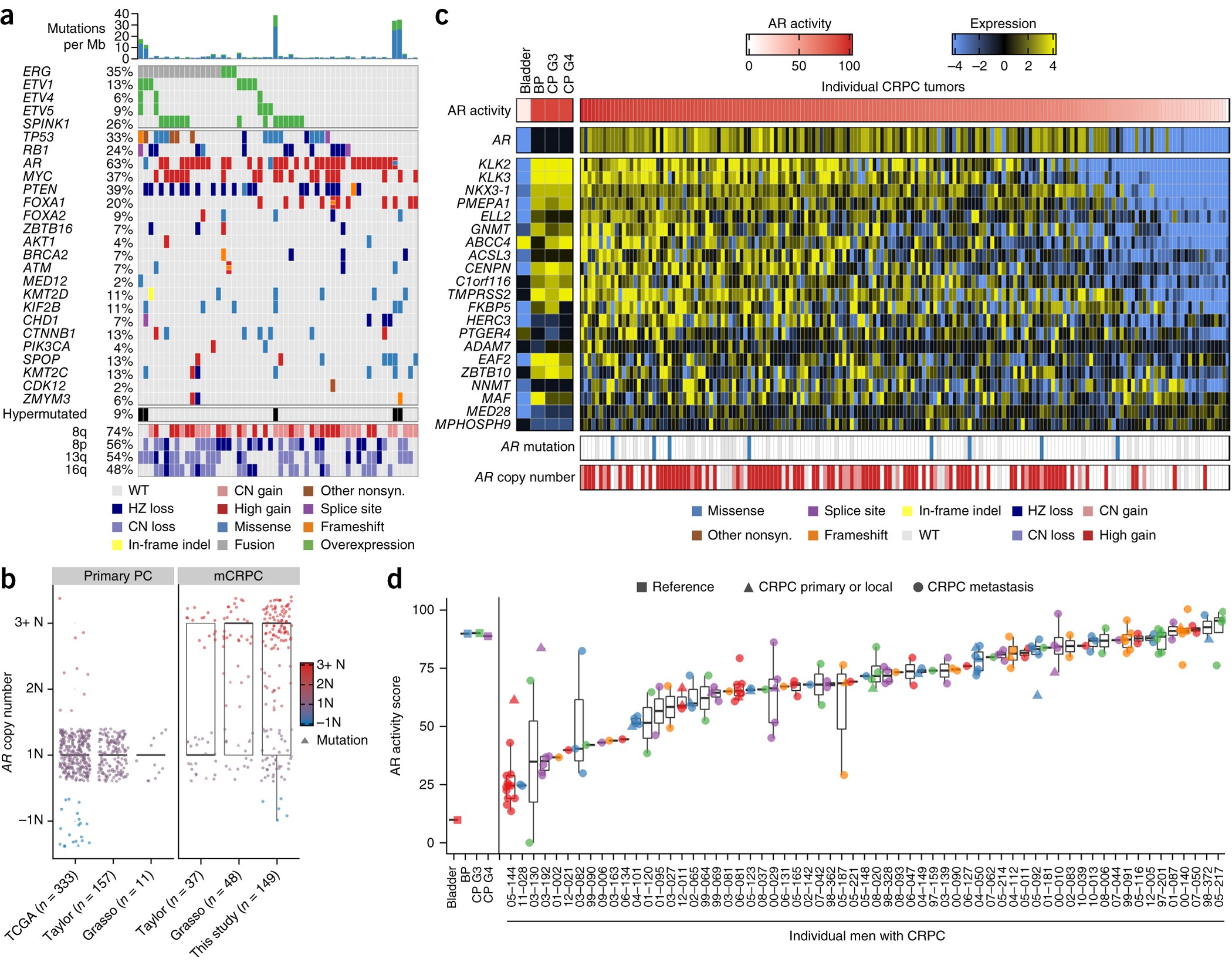 Substantial Interindividual And Limited Intraindividual Genomic Diversity Among Tumors From Men With Metastatic Prostate Cancer Nature Medicine