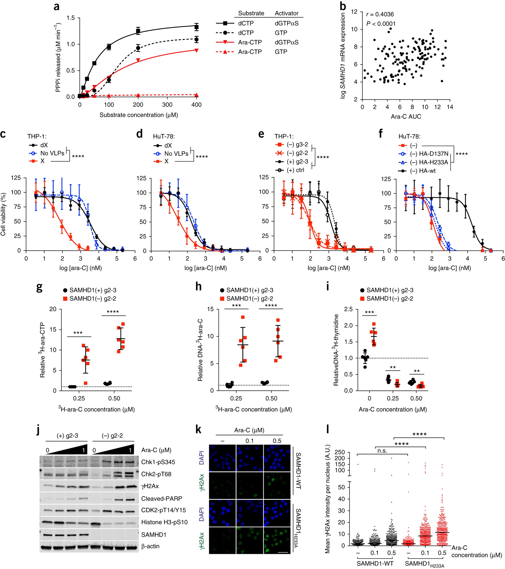 Targeting Samhd1 With The Vpx Protein To Improve Cytarabine