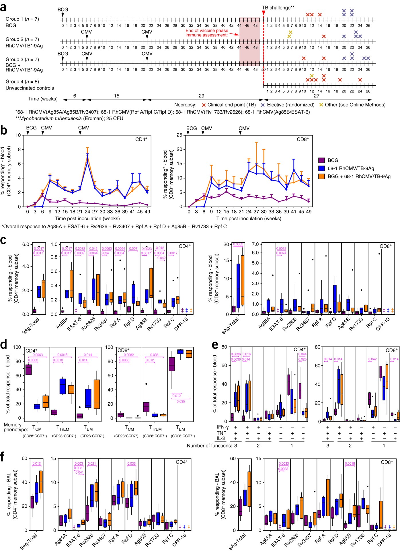 Prevention of tuberculosis in rhesus macaques by a cytomegalovirus-based  vaccine | Nature Medicine