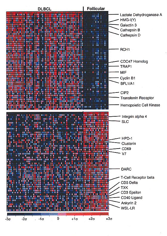 Diffuse Large B Cell Lymphoma Outcome Prediction By Gene Expression Profiling And Supervised Machine Learning Nature Medicine