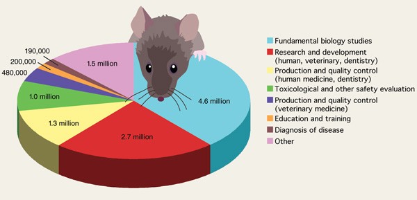 Basic animal research on the rise while pharma looks to new options |  Nature Medicine