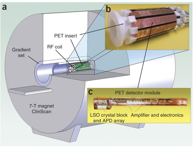 Simultaneous PET-MRI: a new approach for functional and morphological  imaging | Nature Medicine