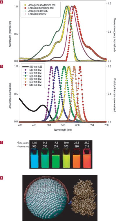 Semiconductor nanocrystals as fluorescent biological labels