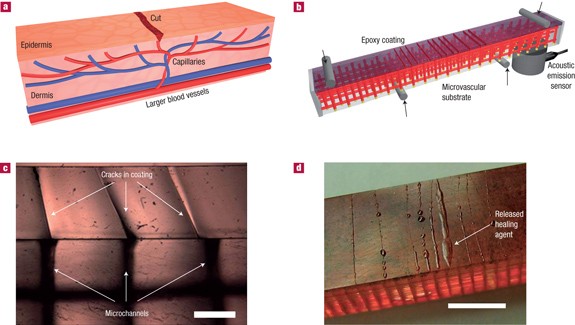 Self-healing materials with microvascular networks | Nature Materials