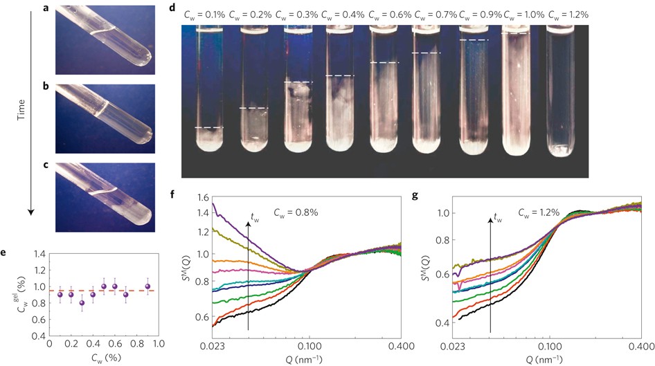 Mentally Conceited Rubber Observation of empty liquids and equilibrium gels in a colloidal clay | Nature Materials Mentally Conceited Rubber Observation of empty liquids and equilibrium gels in a colloidal clay | Nature Materials