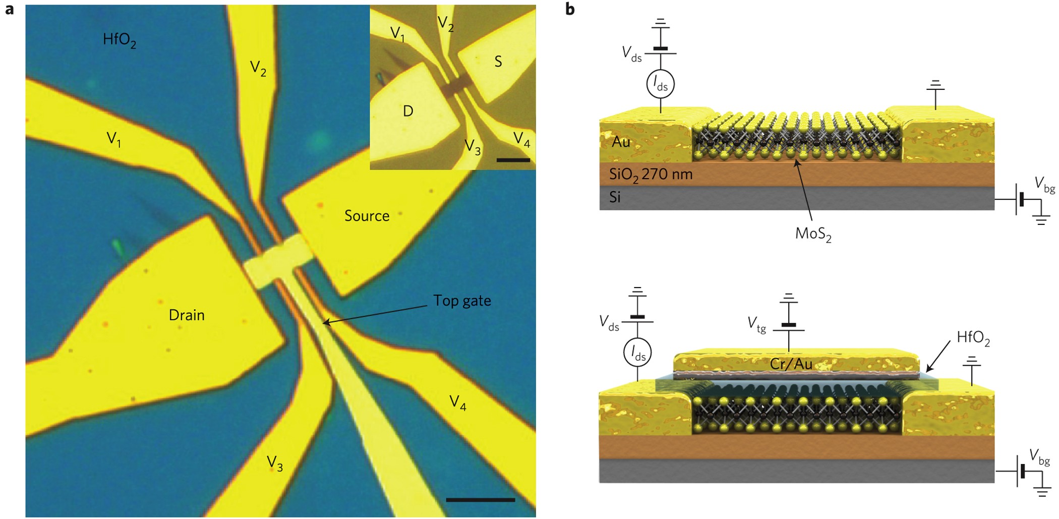 Mobility Engineering And A Metal Insulator Transition In Monolayer