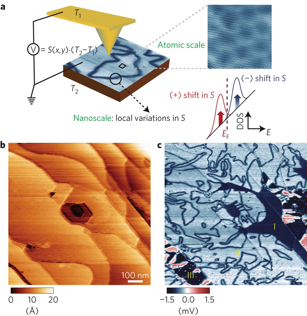 Thermoelectric imaging structural disorder in epitaxial | Nature