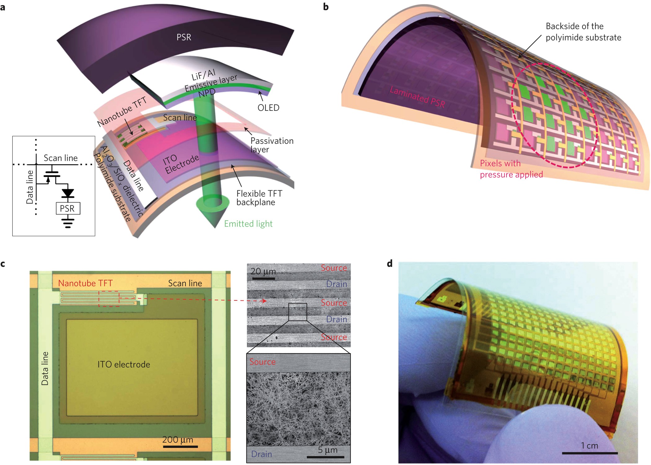 User Interactive Electronic Skin For Instantaneous Pressure