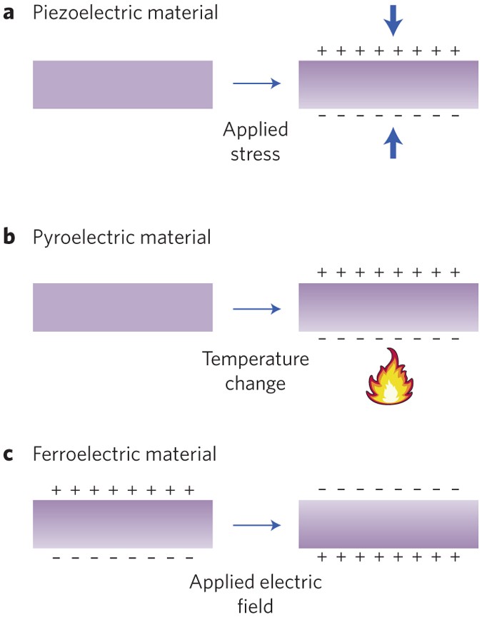 Ferroelectricity' in a metal | Nature Materials