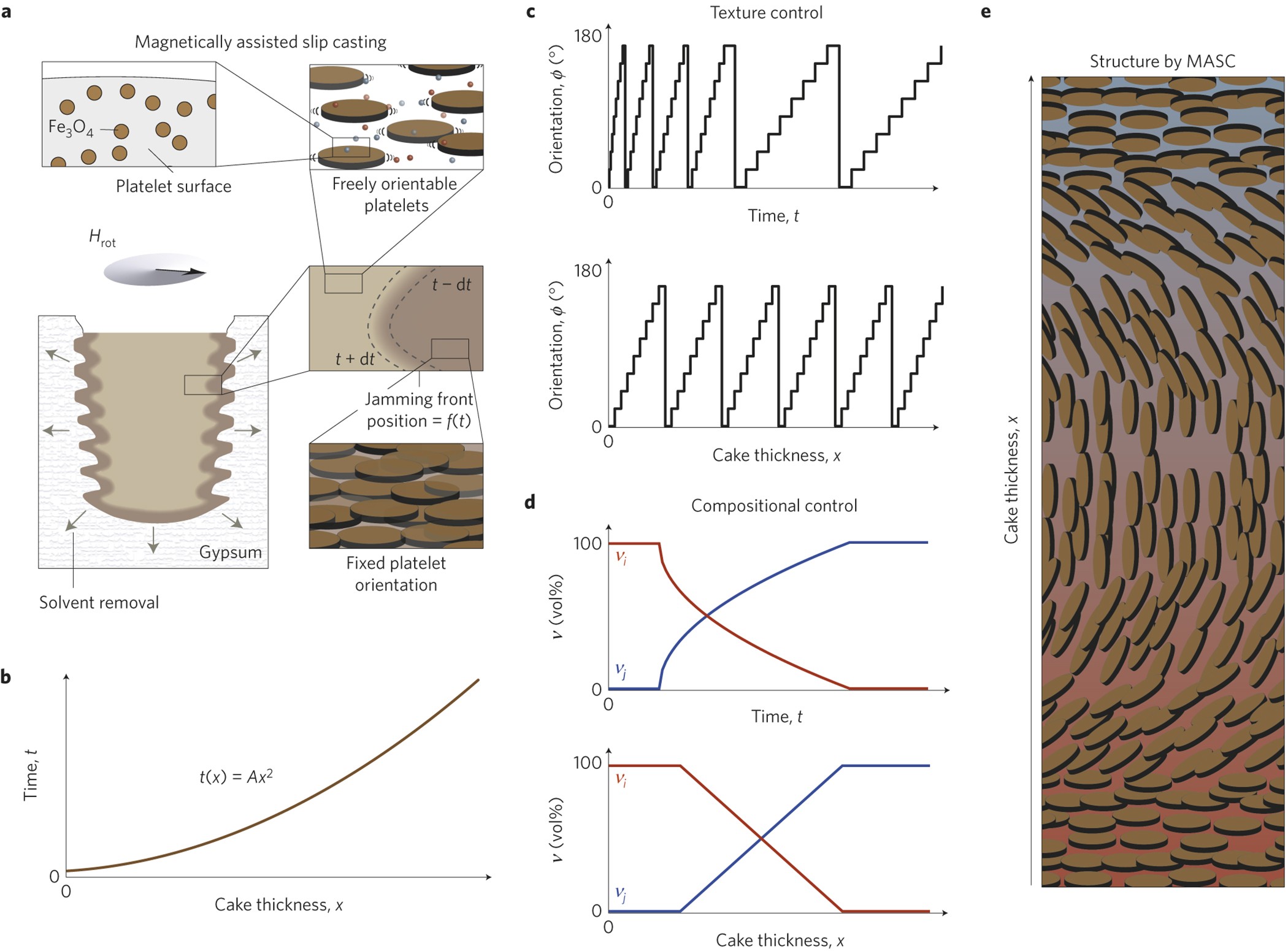 Magnetically assisted slip casting of bioinspired heterogeneous composites  | Nature Materials