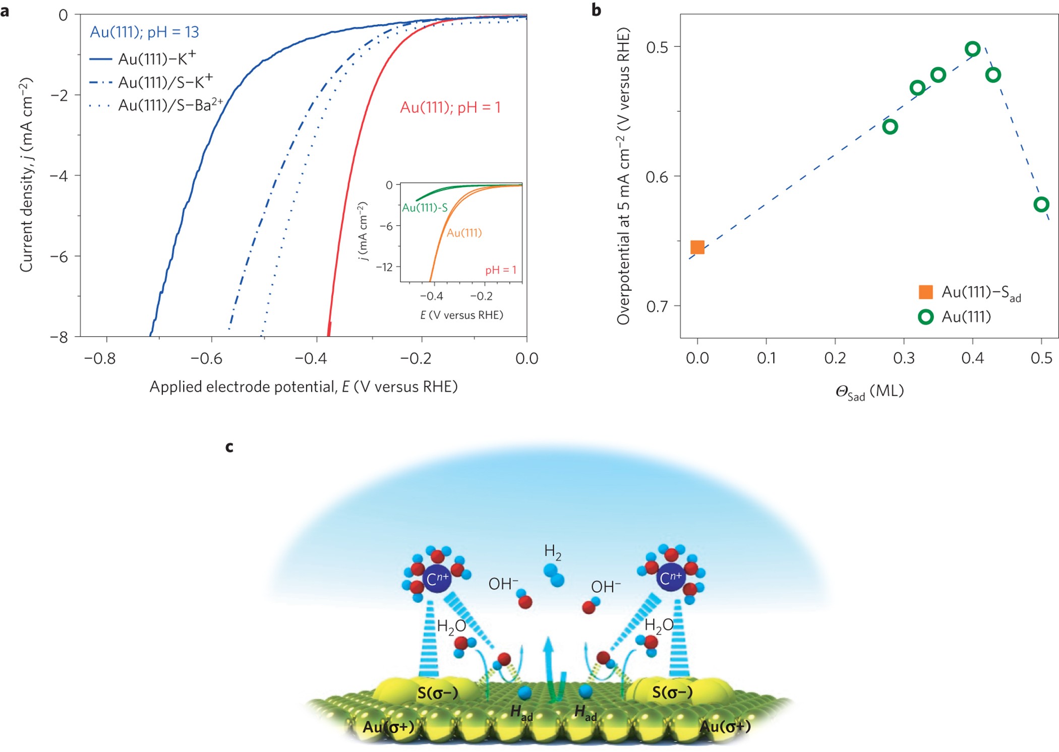 Design of active and stable Co–Mo–Sx chalcogels as pH-universal catalysts  for the hydrogen evolution reaction | Nature Materials
