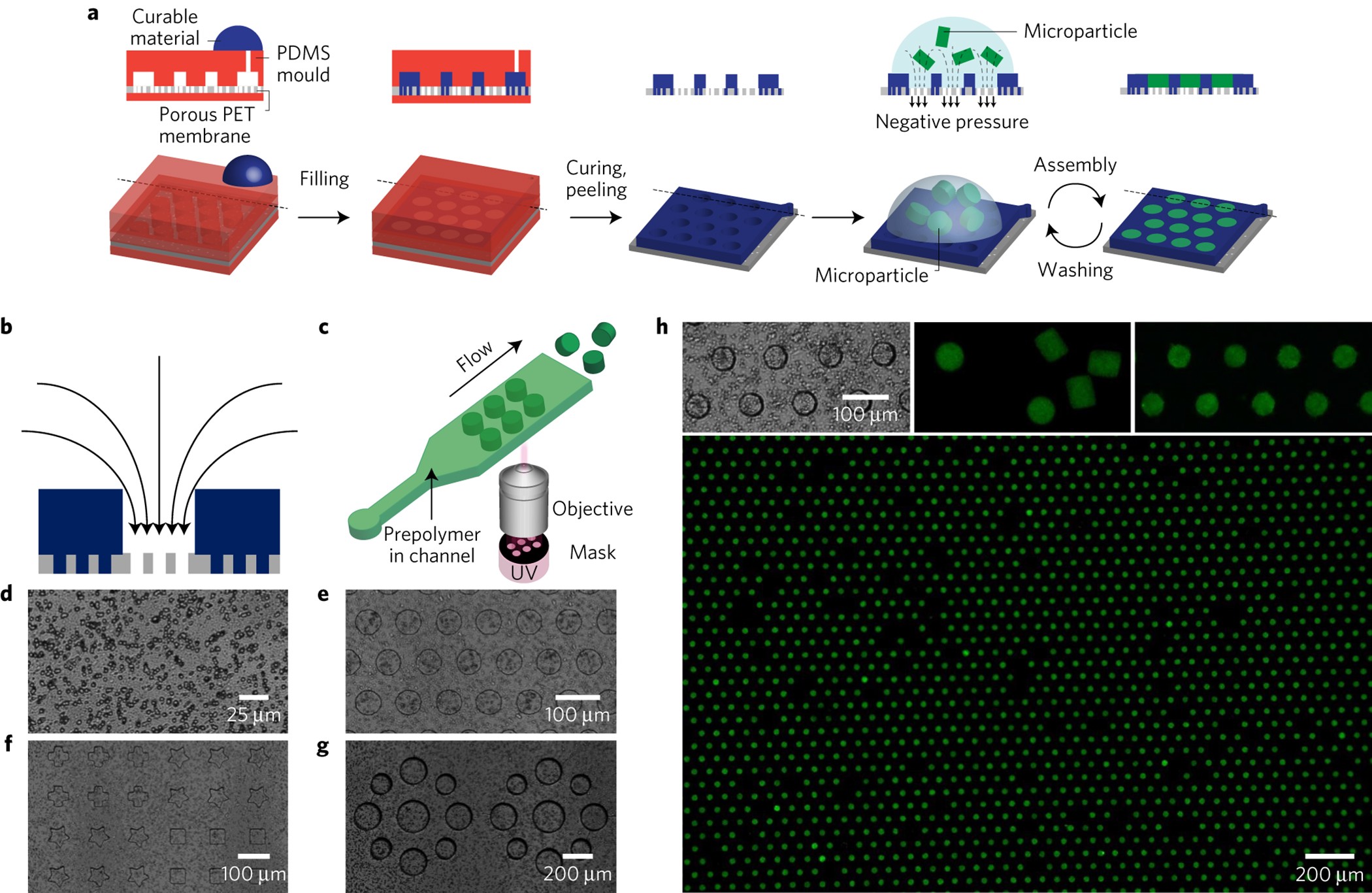 Porous microwells for geometry-selective, large-scale microparticle arrays  | Nature Materials