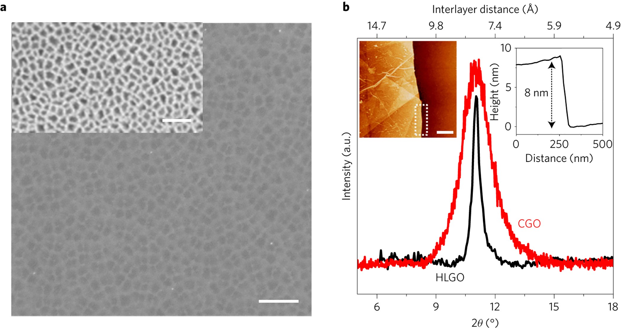 Ultrathin graphene-based membrane with precise molecular sieving and  ultrafast solvent permeation | Nature Materials