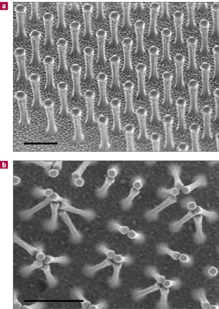 Microfabricated adhesive mimicking gecko foot-hair | Nature Materials