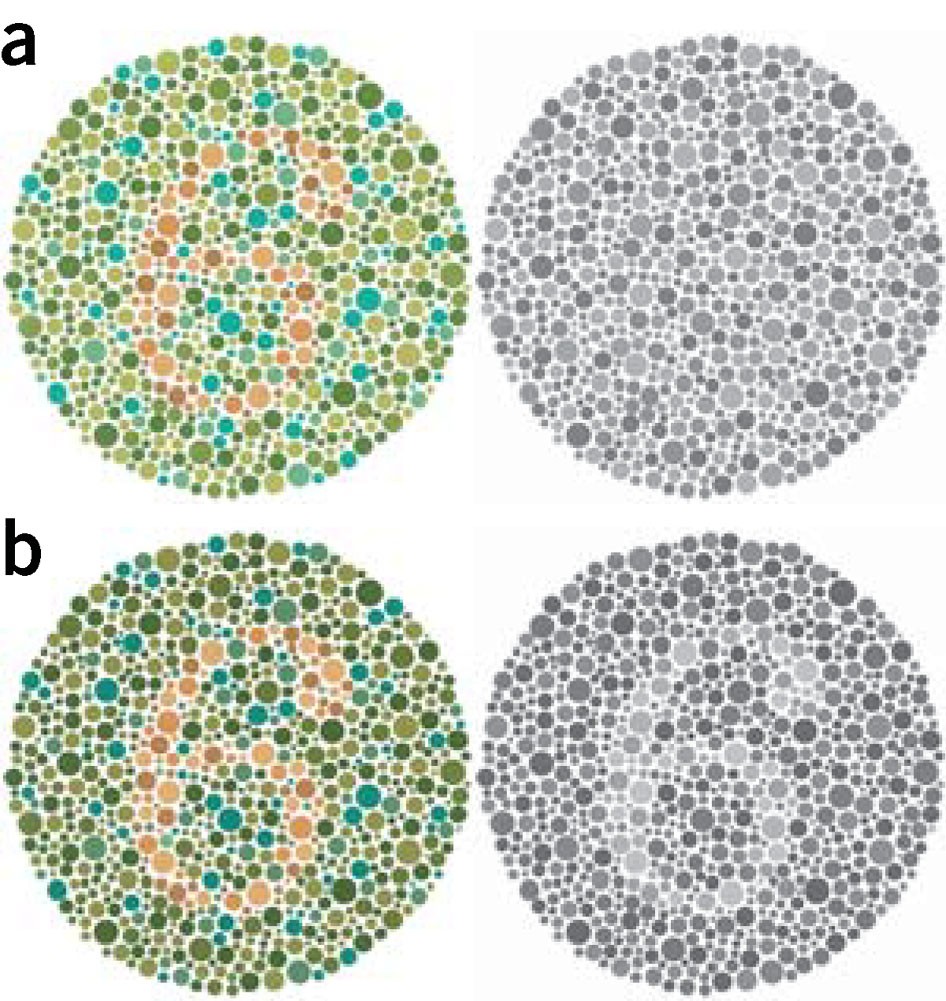 Color Blindness – When is color important … and when is it not