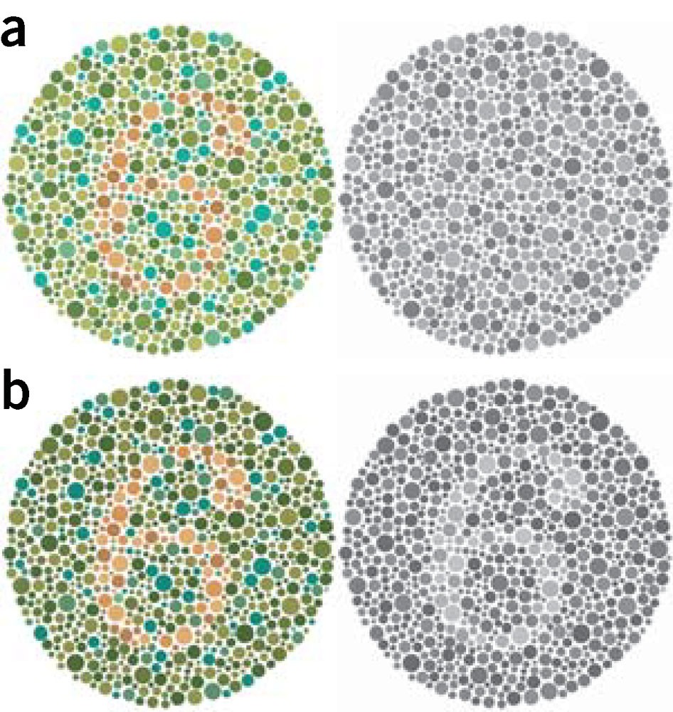 https://media.springernature.com/full/springer-static/image/art%3A10.1038%2Fnmeth.1618/MediaObjects/41592_2011_Article_BFnmeth1618_Fig1_HTML.jpg