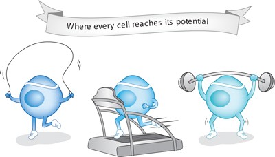 In vitro niches | Nature Methods In vitro niches | Nature Methods